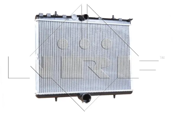 Radiator, engine cooling (WG1722665)