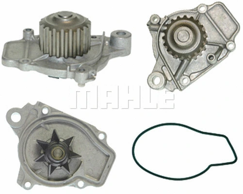Water Pump, engine cooling (WG2181299)