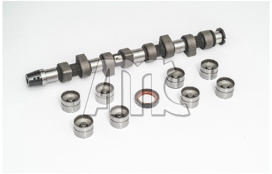 Camshaft Kit (WG2010605)
