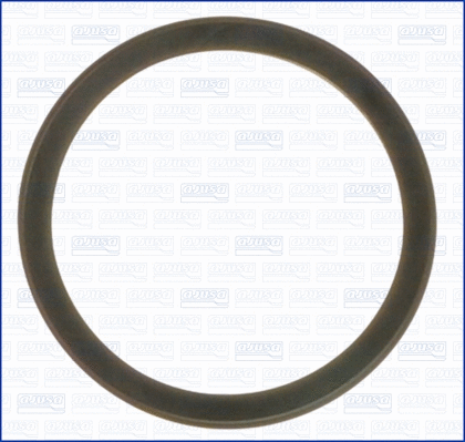 Seal, thermostat (WG1751100)