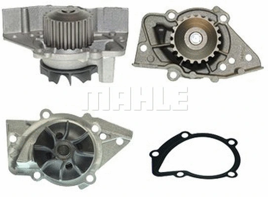 Water Pump, engine cooling (WG2181356)