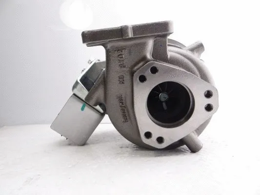 Charger, charging (supercharged/turbocharged) (WG2139963)