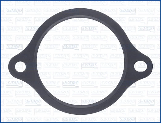 Seal, thermostat (WG2079104)