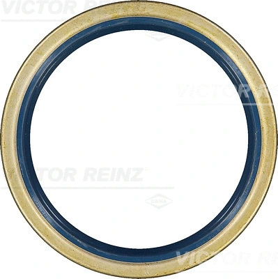 Shaft Seal, camshaft (WG1250148)