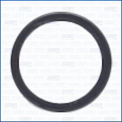 Seal Ring, injector (WG2079061)