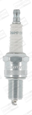 Spark Plug (WG2010173)