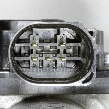 EGR Valve (WG2192828)