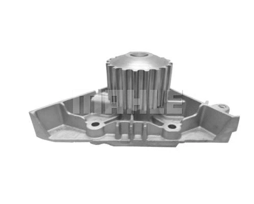 Water Pump, engine cooling (WG2181336)