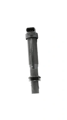 Ignition Coil (WG1756491)