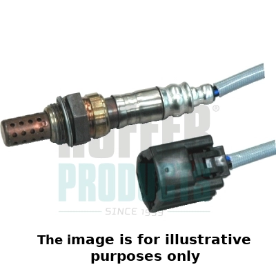 Lambda Sensor (WG1989950)