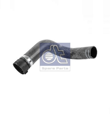 Radiator Hose (WG2318944)
