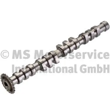 Camshaft (WG1017631)