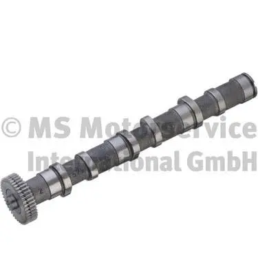 Camshaft (WG1196157)