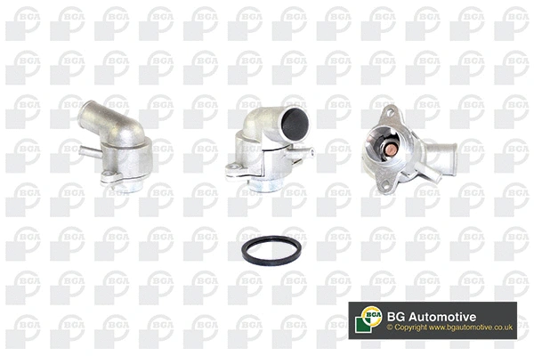 Thermostat, coolant (WG1760441)