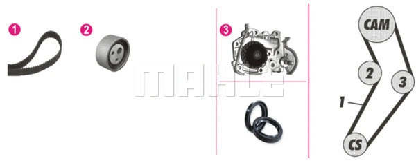 Water Pump & Timing Belt Kit (WG2182223)