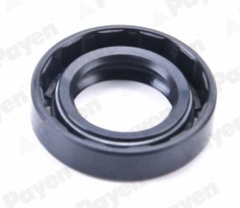 Shaft Seal, manual transmission (WG1184222)