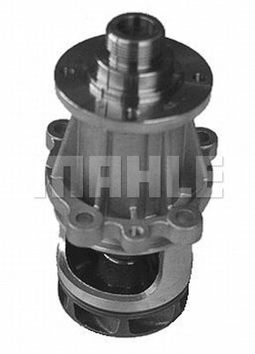 Water Pump, engine cooling (WG2181346)