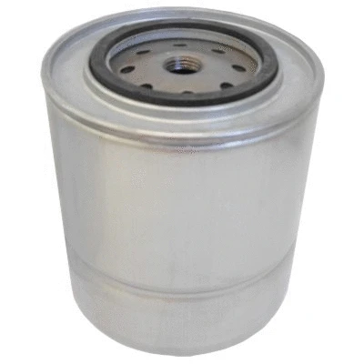Fuel Filter (WG1747700)