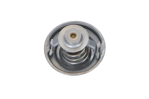 Thermostat, coolant (WG2184772)