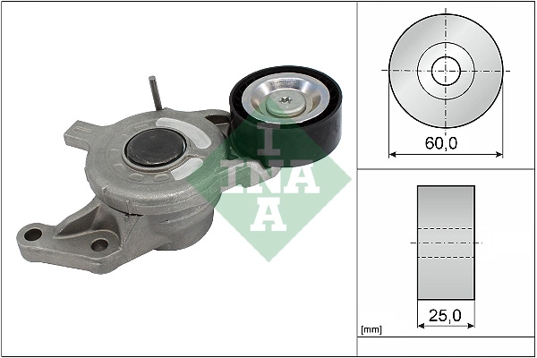 Belt Tensioner, V-ribbed belt (WG1940876)