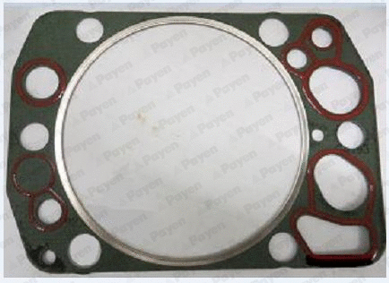 Gasket, cylinder head (WG2202322)