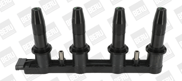 Ignition Coil (WG1940730)