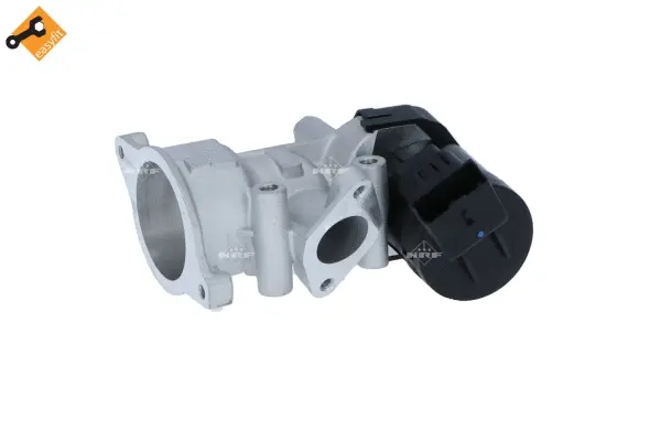 EGR Valve (WG2161870)