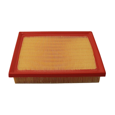 Air Filter (WG2152093)