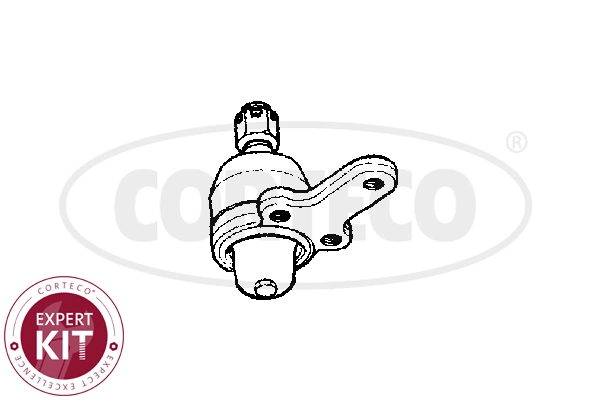 Ball Joint (WG2288380)
