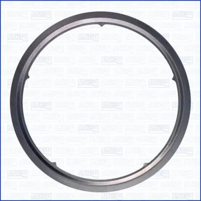 Gasket, exhaust pipe (WG1751516)