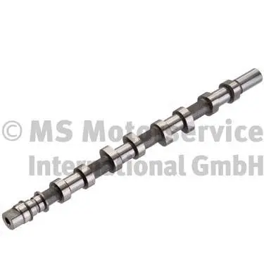 Camshaft (WG1380627)