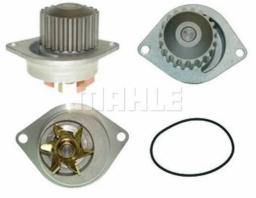 Water Pump, engine cooling (WG2182058)