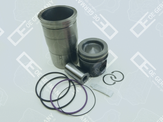 Repair Set, piston/sleeve (WG1485381)