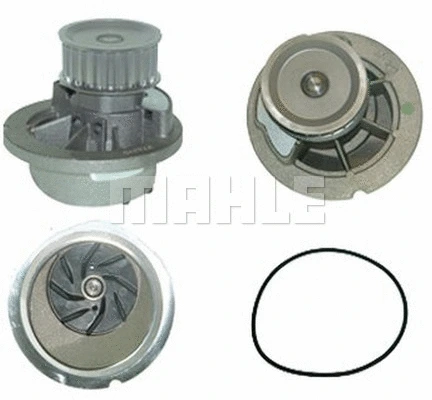 Water Pump, engine cooling (WG2181621)