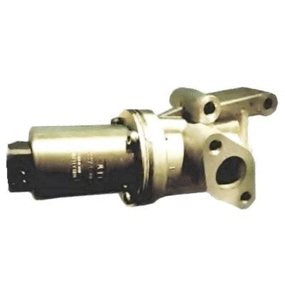 EGR Valve (WG1015282)