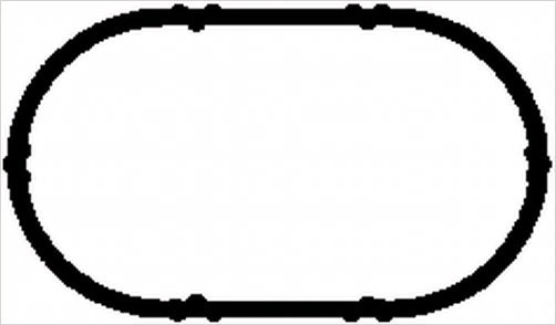 Gasket, intake manifold (WG1764194)