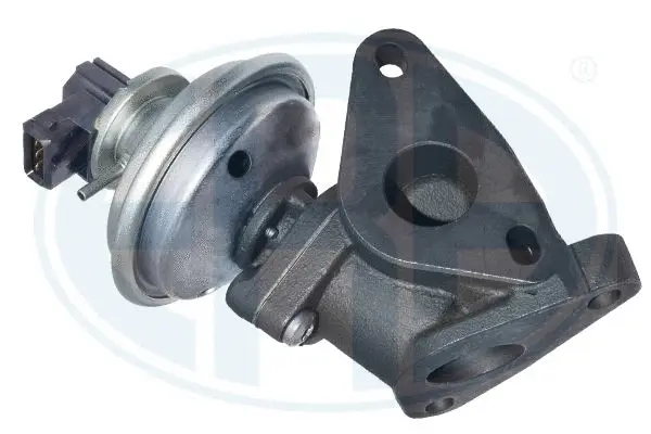 EGR Valve (WG2101559)