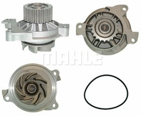 Water Pump, engine cooling (WG2181429)