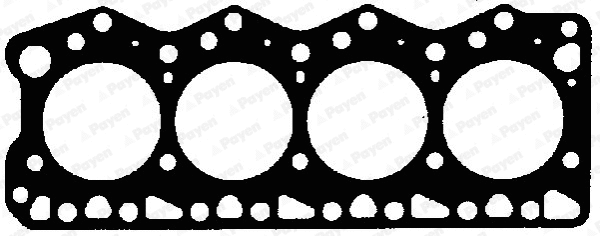 Gasket, cylinder head (WG1460618)