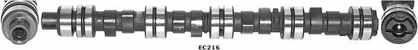 Camshaft (WG1051363)