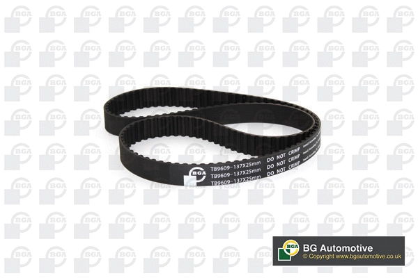 Timing Belt (WG2258728)