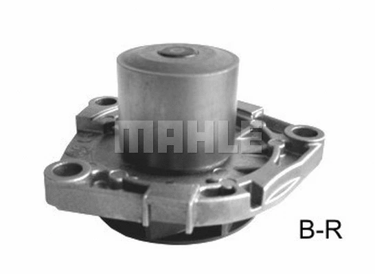 Water Pump, engine cooling (WG2181949)