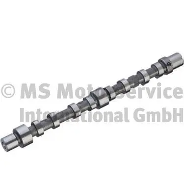 Camshaft (WG1196161)