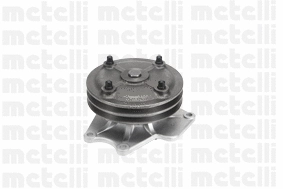 Water Pump, engine cooling (WG1790526)
