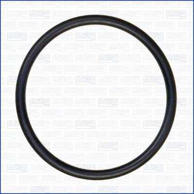 Seal, thermostat (WG1163666)