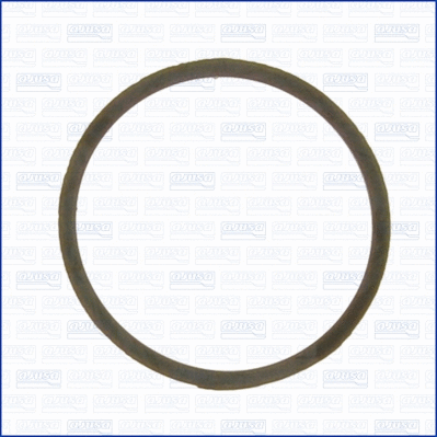 Seal, thermostat (WG1751237)