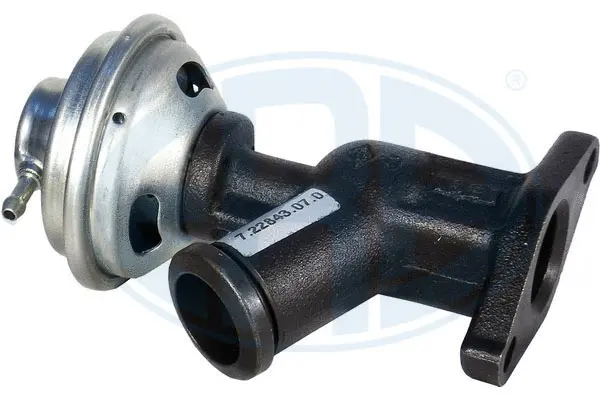 EGR Valve (WG1494620)