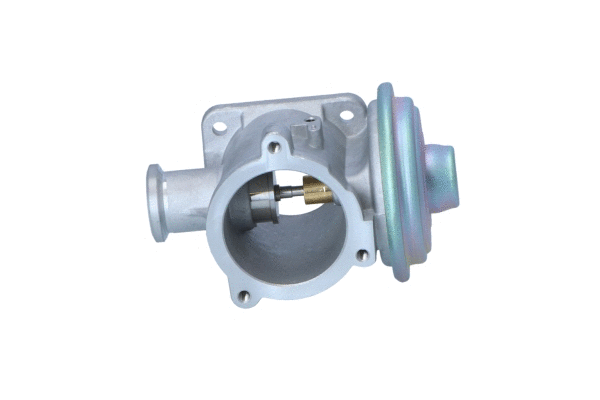 EGR Valve (WG2184508)