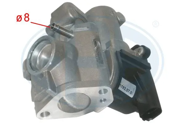 EGR Valve (WG1494704)