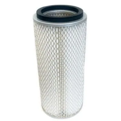Air Filter (WG1746846)